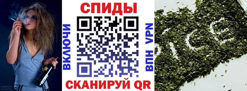 закладки  Малоярославец  БУТИРАТ BDO 