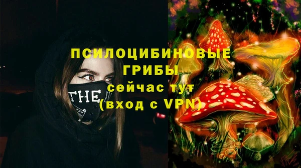 Альфа ПВП Алексин