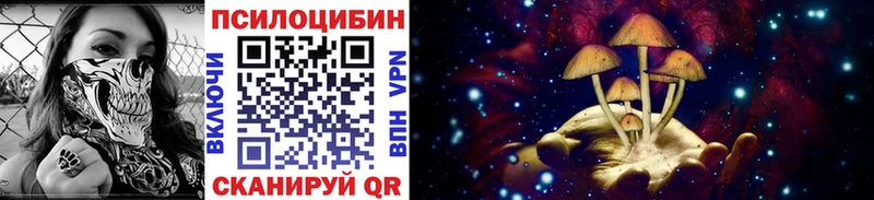 Галлюциногенные грибы ЛСД  Малоярославец 